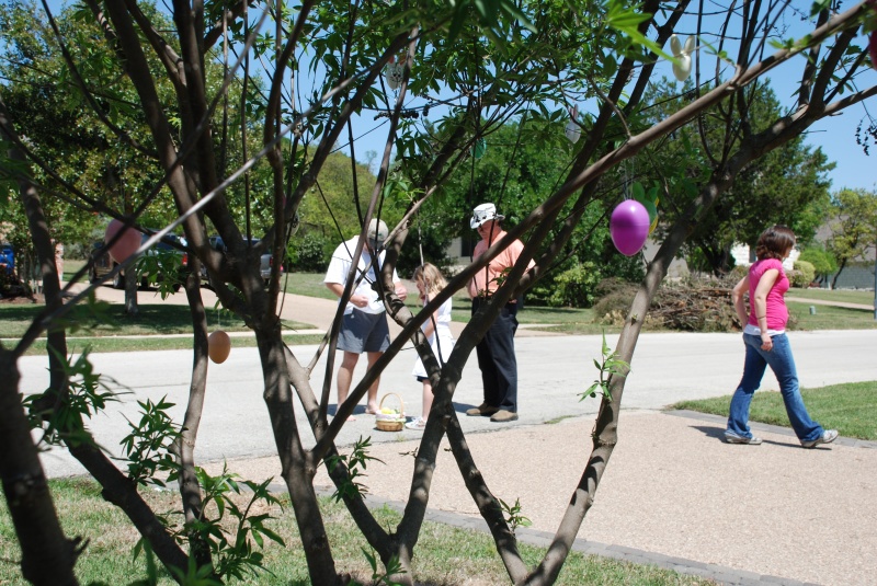 2009/04(April)/EASTER/800x600_2009-04-12-62 EASTER.jpg